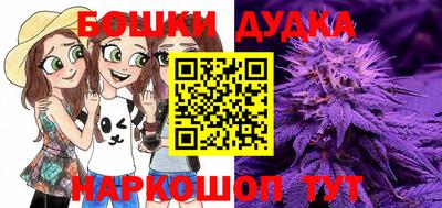 мдпв Будённовск